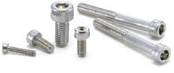 Stainless Steel Screws